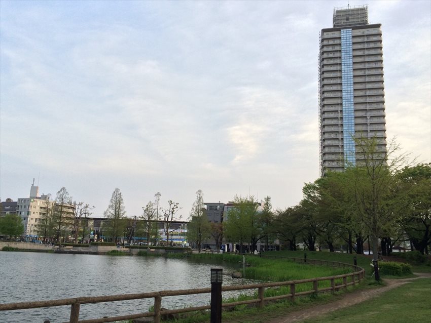 20150603-17-05-Windmills -Japanese-Flowers